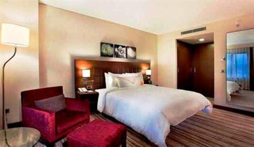 фото отеля Hilton Garden Inn Sanliurfa