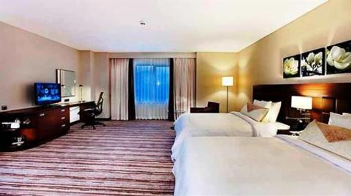 фото отеля Hilton Garden Inn Sanliurfa