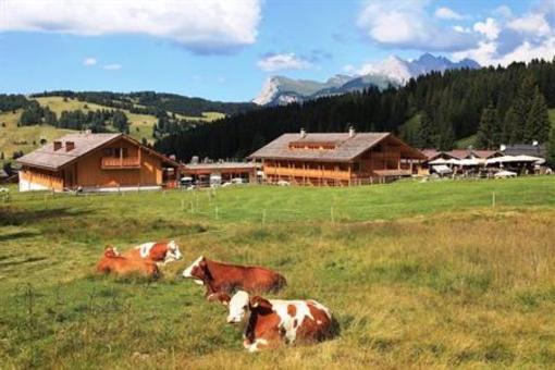 фото отеля Tirler Dolomites Living Hotel