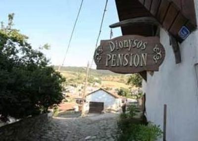 фото отеля Dionysos Pension