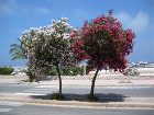 фото отеля Mediterraneo Hotel San Vito Lo Capo