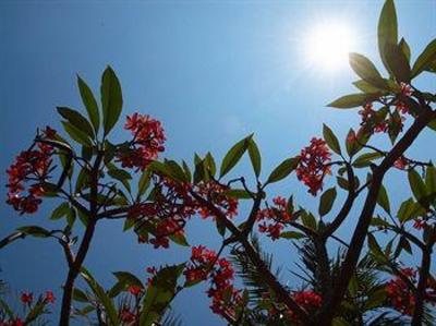 фото отеля Broome Beach Resort