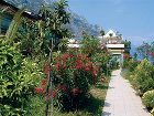 фото отеля Hotel San Pietro Limone sul Garda