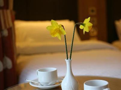 фото отеля Roxford Lodge Hotel