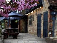 Grasshopper Inn