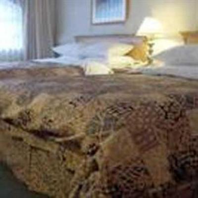фото отеля Hotel Chicago Ahmedabad