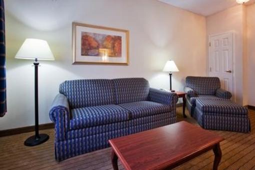 фото отеля Holiday Inn Hotel and Suites Peachtree City