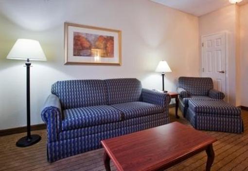 фото отеля Holiday Inn Hotel and Suites Peachtree City