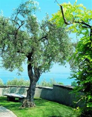 фото отеля Residence Castello Belvedere Desenzano del Garda