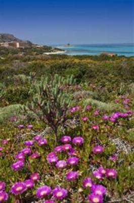 фото отеля Cala Reale
