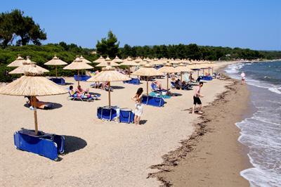 фото отеля Blue Dolphin Hotel