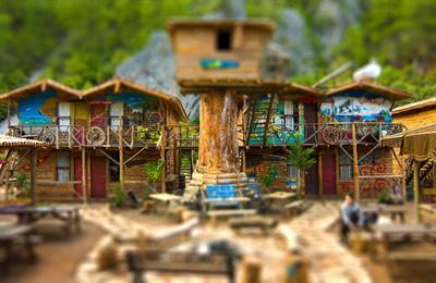 фото отеля Kadir's Top Tree House