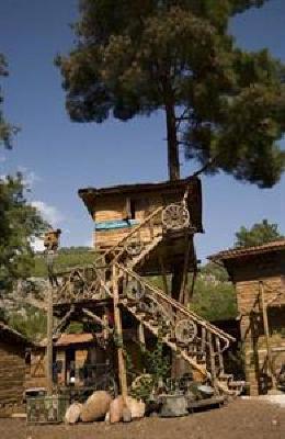 фото отеля Kadir's Top Tree House