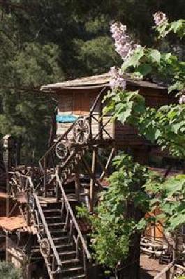 фото отеля Kadir's Top Tree House
