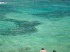 фото отеля Hawksbill by Rex Resorts
