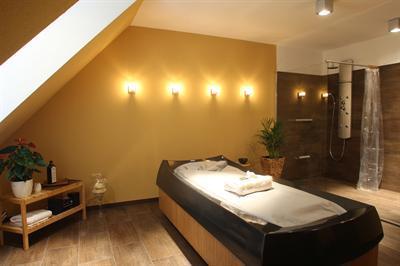 фото отеля Gesundheitshotel am Schloss Sallgast
