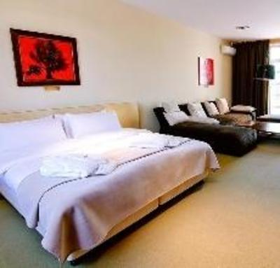 фото отеля Park Hotel Switzerland