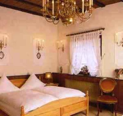 фото отеля Martinsklause Hotel Meckesheim