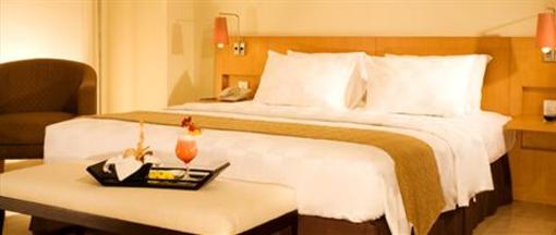 фото отеля The Aryaduta Hotel & Convention Center Palembang