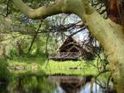 фото отеля Finch Hattons Safari Camp