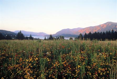 фото отеля Skamania Lodge