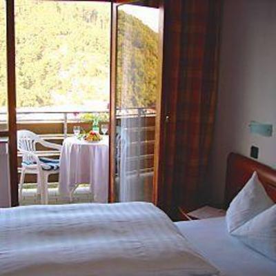фото отеля Schweizerhaus Bad Ems
