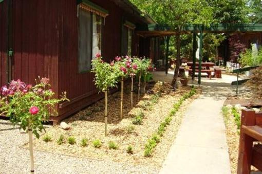 фото отеля Bright Alps Guest House