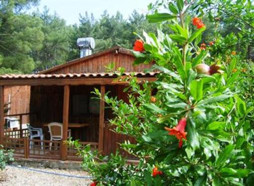 фото отеля Olympos Inci Pansiyon