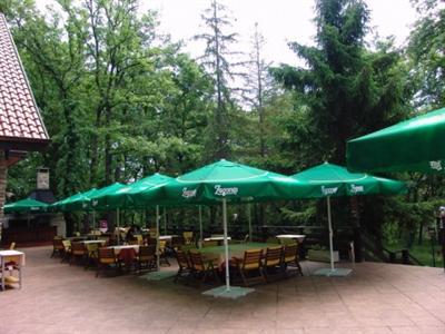 фото отеля Spa Hotel Izvor