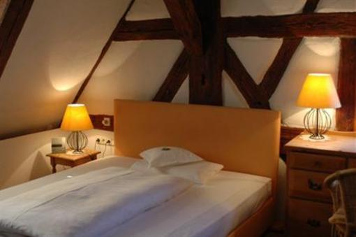 фото отеля Hotel Schwarzer Adler Erlangen
