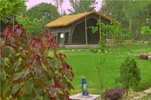 фото отеля Corbett Machaan Resort