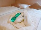 фото отеля Hotel Francis Frantiskovy Lazne