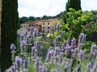 фото отеля Fattoria Voltrona Hotel San Gimignano