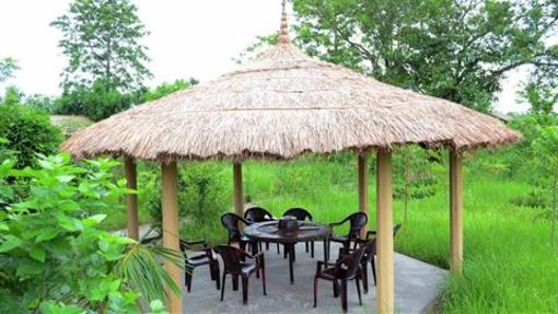 фото отеля Eco Wildlife Lodge