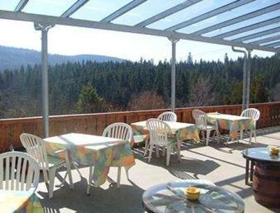 фото отеля Schwarzwald-Gasthof Hirsch