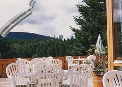 фото отеля Schwarzwald-Gasthof Hirsch
