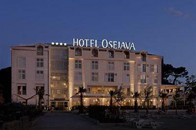 фото отеля Hotel Osejava