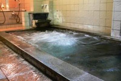 фото отеля Enokiya Ryokan
