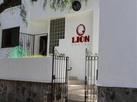 Lion Hostel