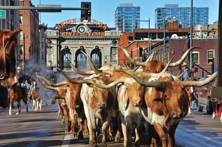 фото отеля Hampton Inn Boulder / Louisville