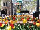 фото отеля Hampton Inn Boulder / Louisville