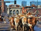 фото отеля Hampton Inn Boulder / Louisville