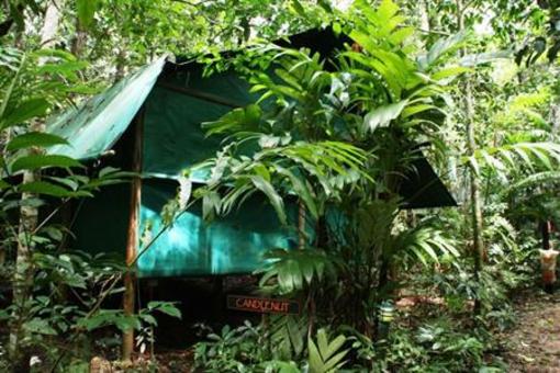 фото отеля Daintree Crocodylus Village