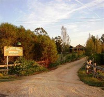 фото отеля The Vineyard Motel