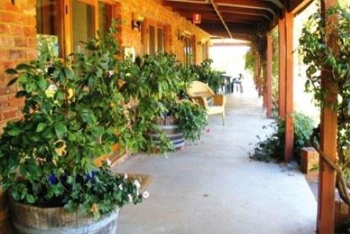 фото отеля The Vineyard Motel