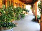 фото отеля The Vineyard Motel