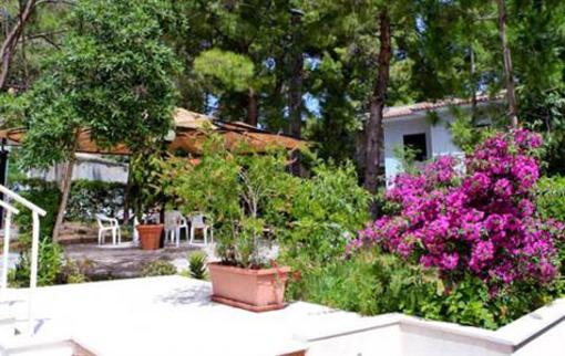 фото отеля Hotel Garden Vico del Gargano