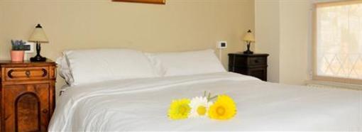 фото отеля Hotel Orso Bruno