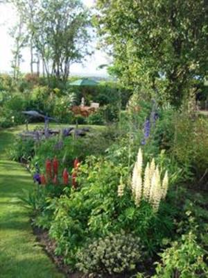 фото отеля Farndon Thatch B&B