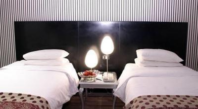 фото отеля Park Plaza Unique Hotel